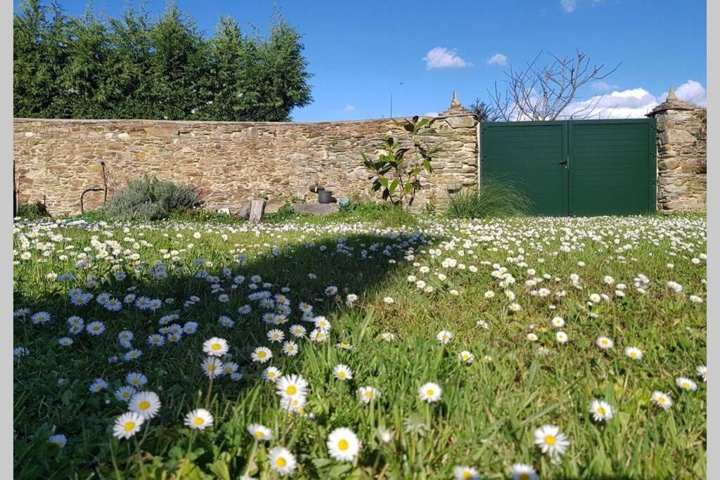 Estudio Pajar Rural Con Bonito Jardin - Los Gayoles Rural Castropol Bagian luar foto